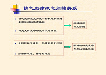 气血精津液的关系